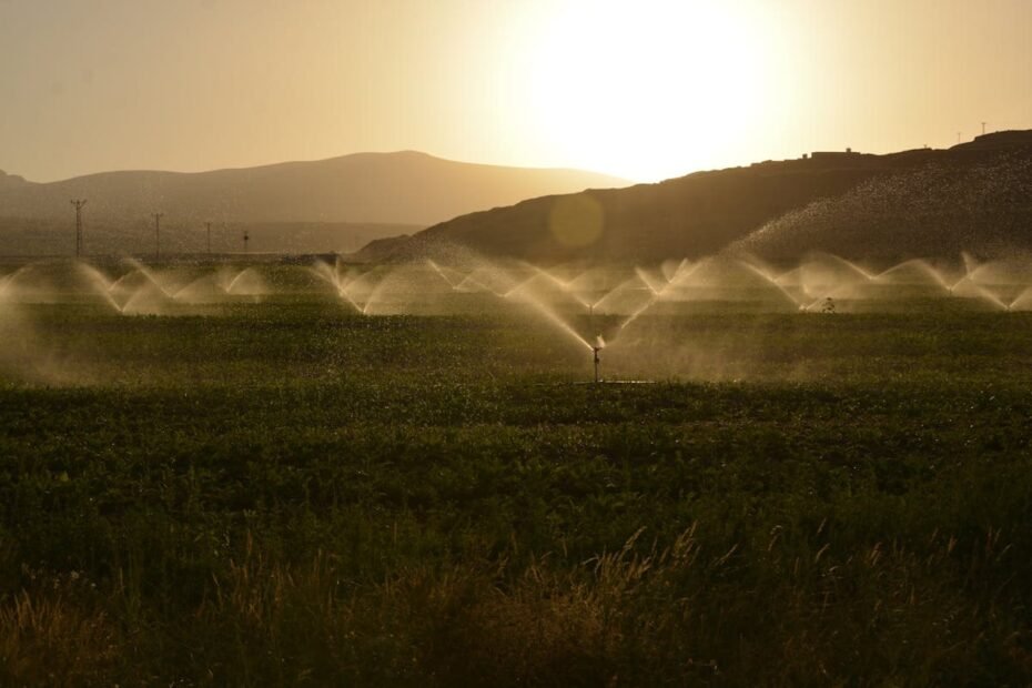 Irrigação Solar: Transformando a Agricultura com Energia Renovável