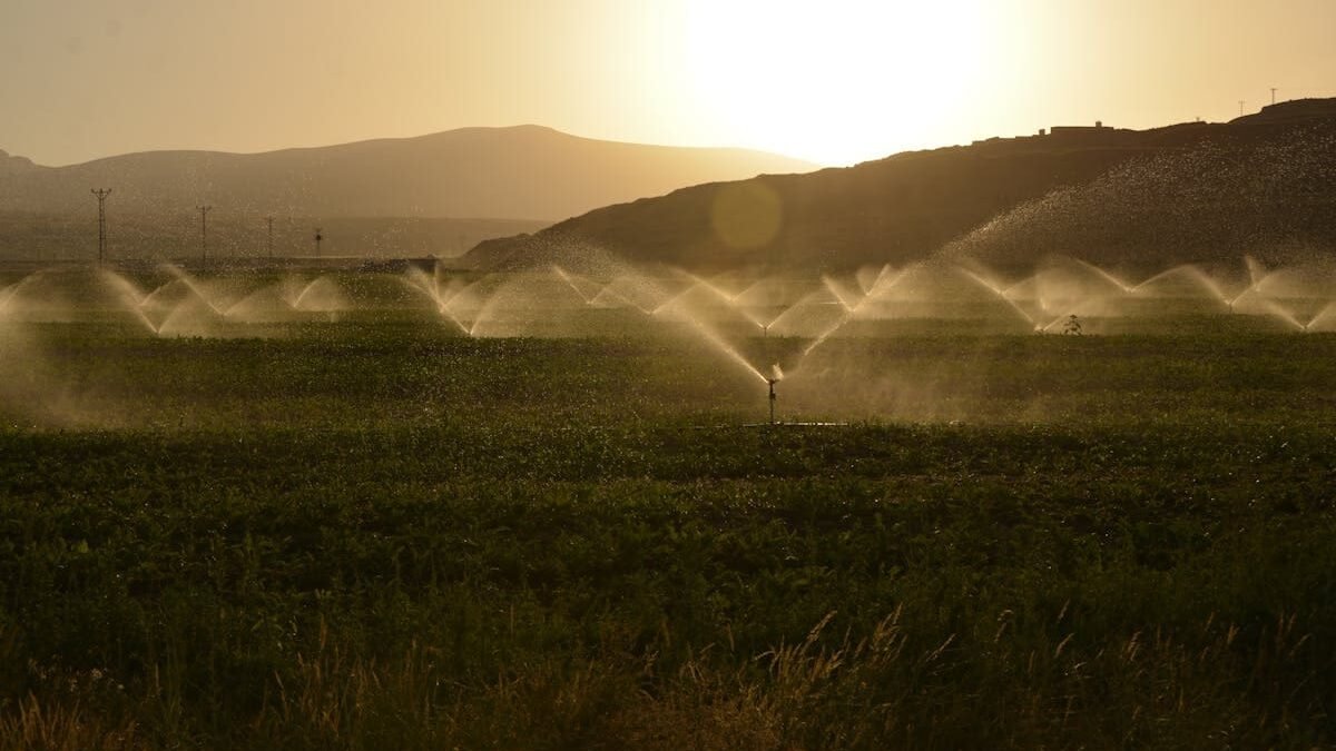 Irrigação Solar: Transformando a Agricultura com Energia Renovável